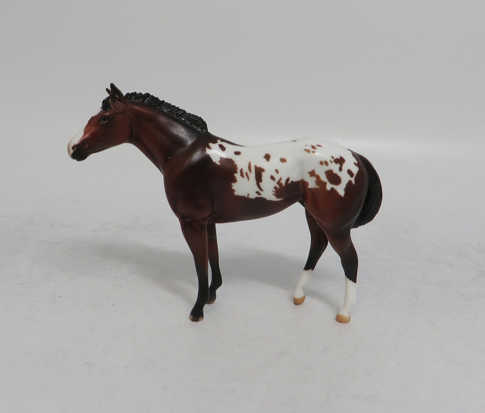 BEXLEY MINI ME - LE7 BAY APPALOOSA STOCK CHIP EA2018