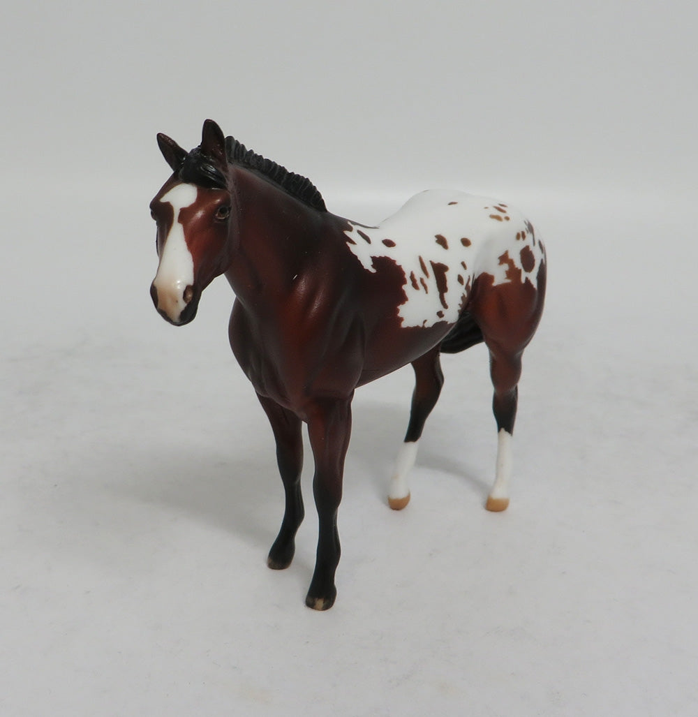 BEXLEY MINI ME - LE7 BAY APPALOOSA STOCK CHIP EA2018