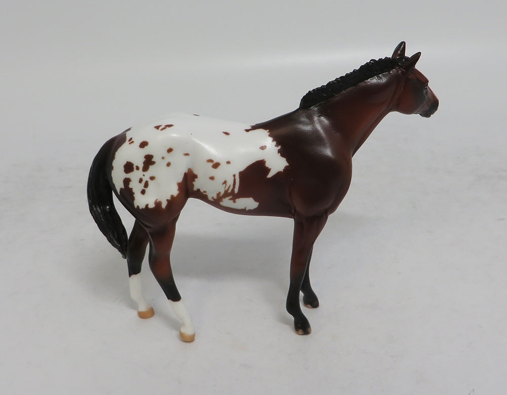 BEXLEY MINI ME - LE7 BAY APPALOOSA STOCK CHIP EA2018