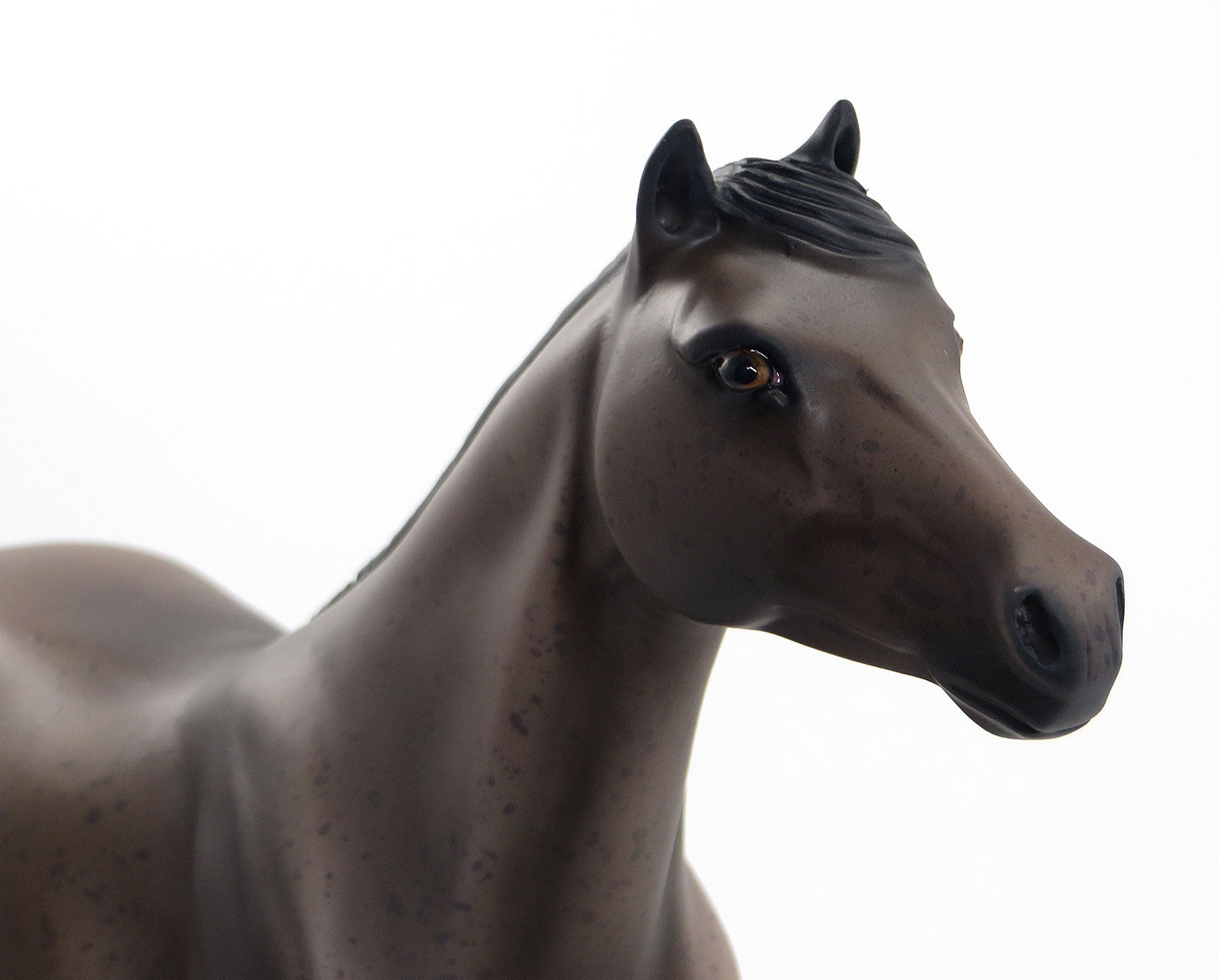 FREEDOM FIGHTER - OOAK Bay Leopard Appaloosa Model Horse Mustang - 7/3