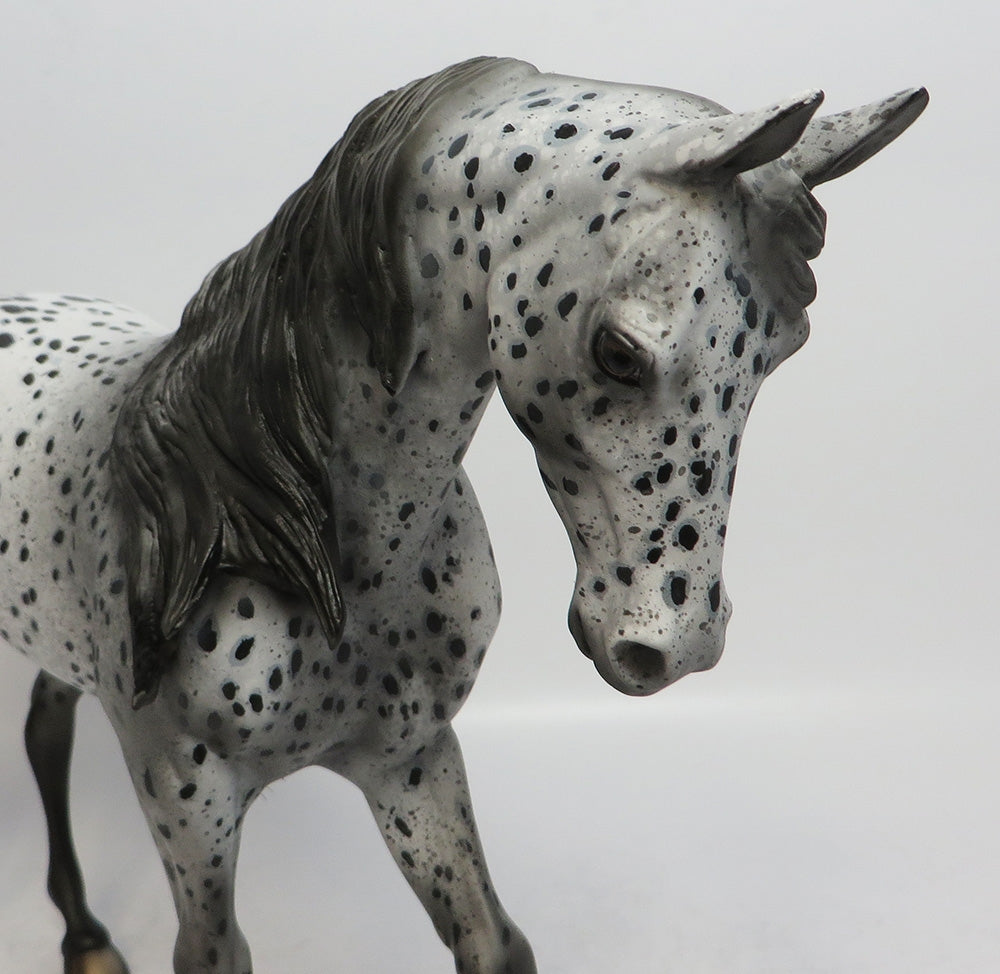 FAIRTIME BLUES - OOAK BLACK APPALOOSA THOROUGHBRED MODEL HORSE SHCF2018