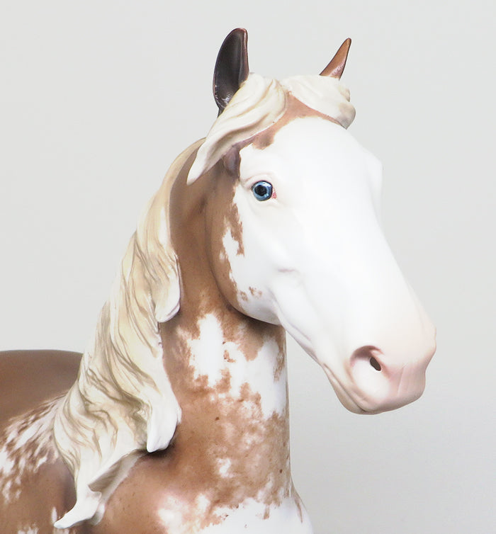 one of a kind trotting drafter