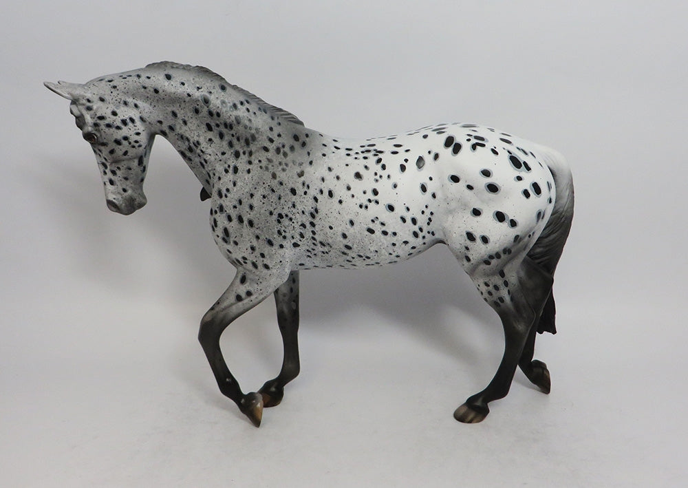 FAIRTIME BLUES - OOAK BLACK APPALOOSA THOROUGHBRED MODEL HORSE SHCF2018