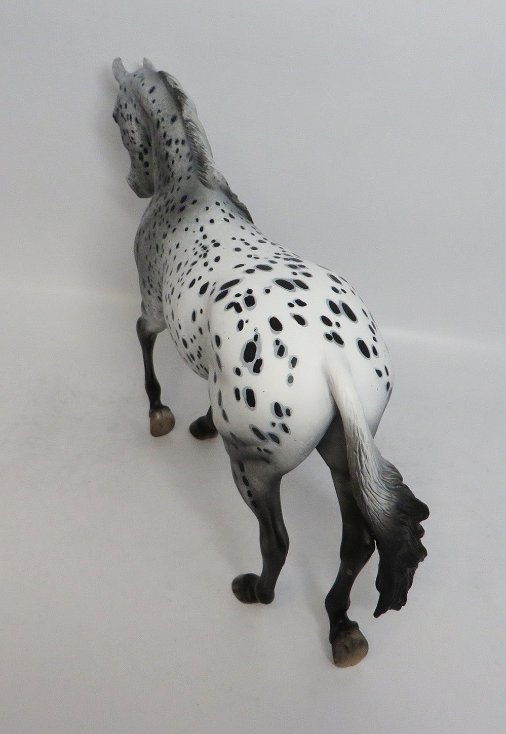 FAIRTIME BLUES - OOAK BLACK APPALOOSA THOROUGHBRED MODEL HORSE SHCF2018