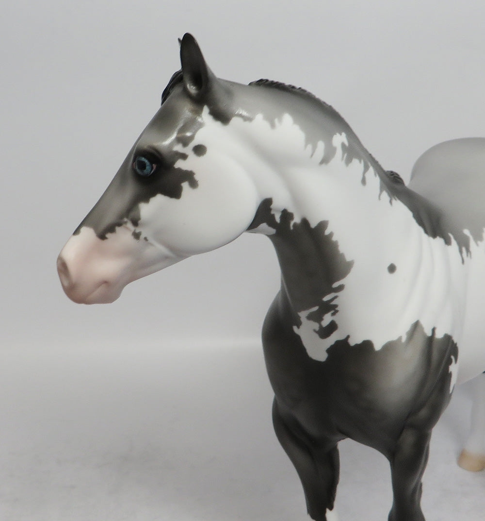 ICE MAN - OOAK DAPPLE GREY PINTO ISH MODEL HORSE SHCF2018