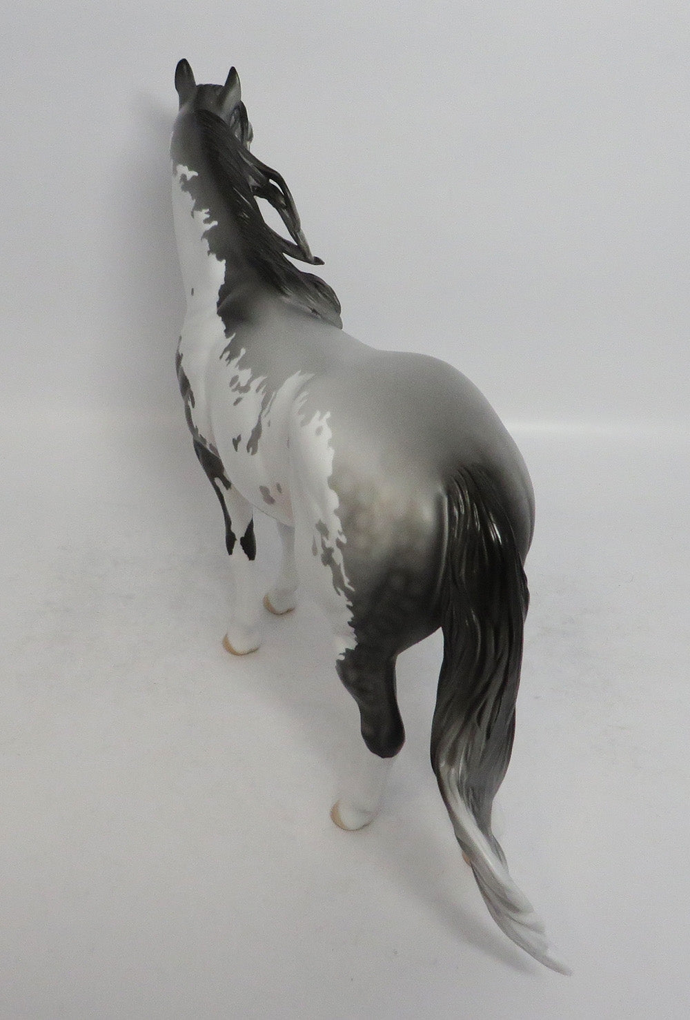 ICE MAN - OOAK DAPPLE GREY PINTO ISH MODEL HORSE SHCF2018