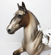 APPALOOSA