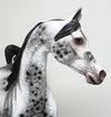 appaloosa