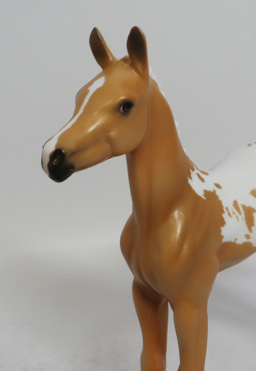 BUTTER BALL - LE3 PALOMINO APPALOOSA FOAL MODEL HORSE SHCF2018