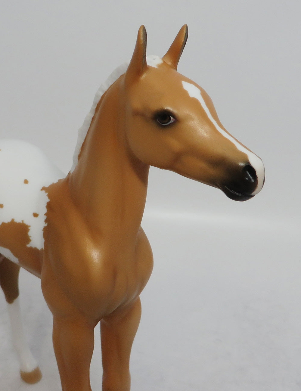 BUTTER BALL - LE3 PALOMINO APPALOOSA FOAL MODEL HORSE SHCF2018
