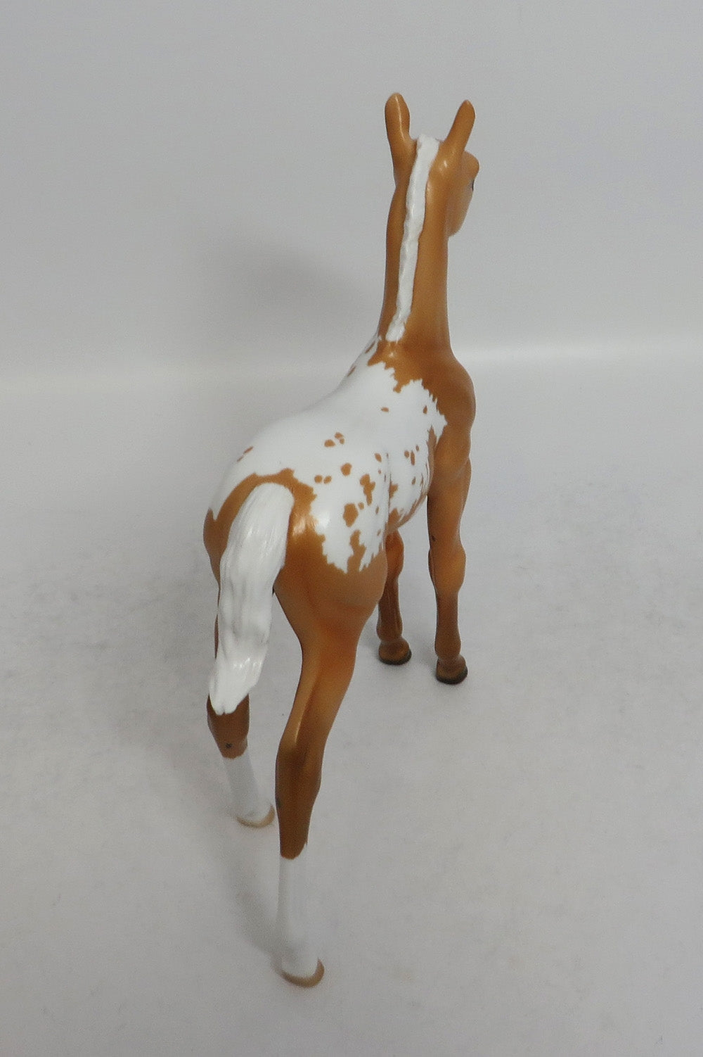 BUTTER BALL - LE3 PALOMINO APPALOOSA FOAL MODEL HORSE SHCF2018