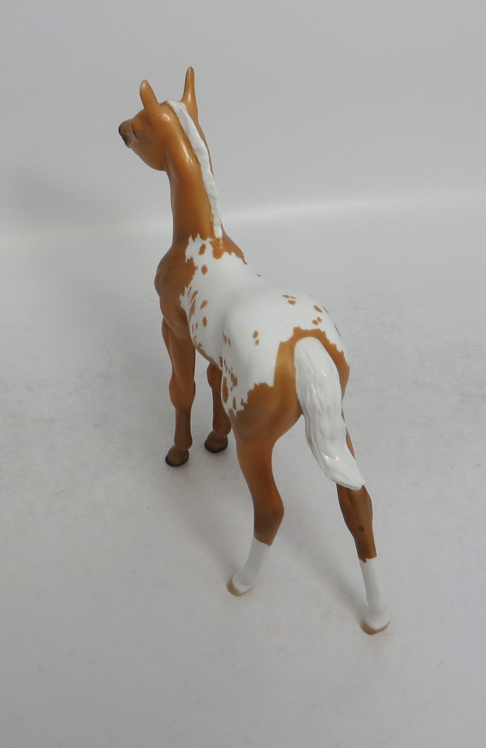 BUTTER BALL - LE3 PALOMINO APPALOOSA FOAL MODEL HORSE SHCF2018