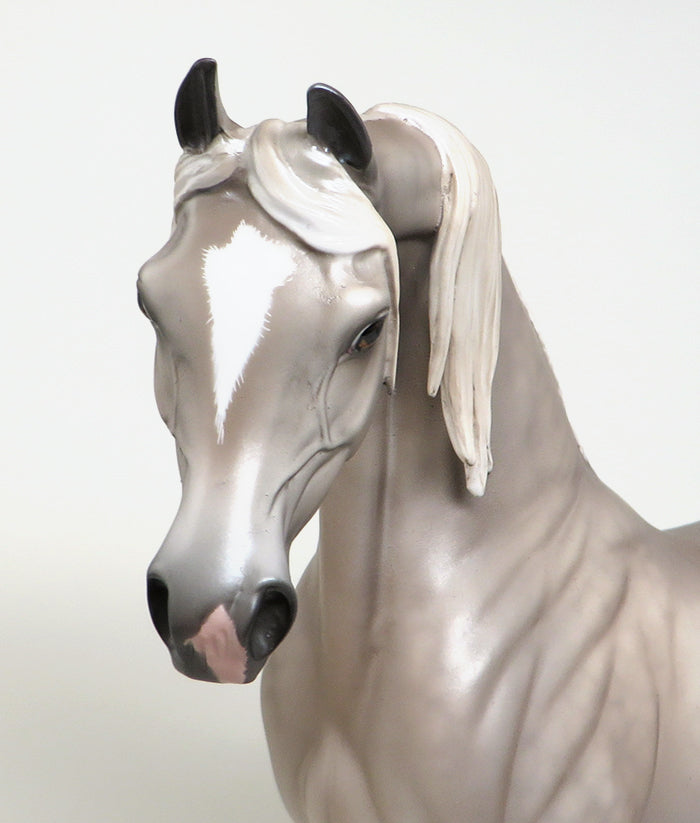 kiss me once arabian going grey