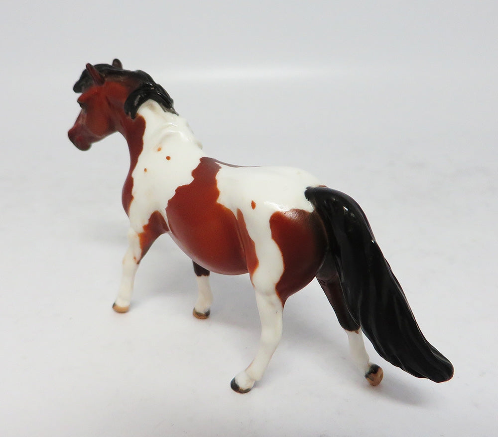 STORM SURGE-OOAK BAY PINTO PONY CHIP MODEL HORSE BY ELAINE STONE 9/7/17