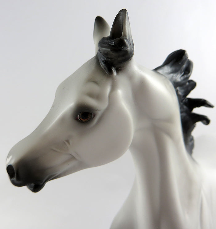 NEENAH PEENAH-LE-4 DAPPLE GREY ARABIAN YEARLING MODEL HORSE 4/13