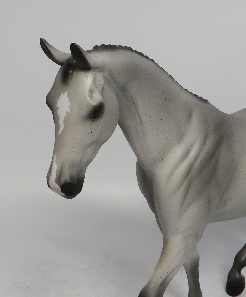 PELICAN - OOAK BLUE ROAN PONY MODEL HORSE SHCF2018