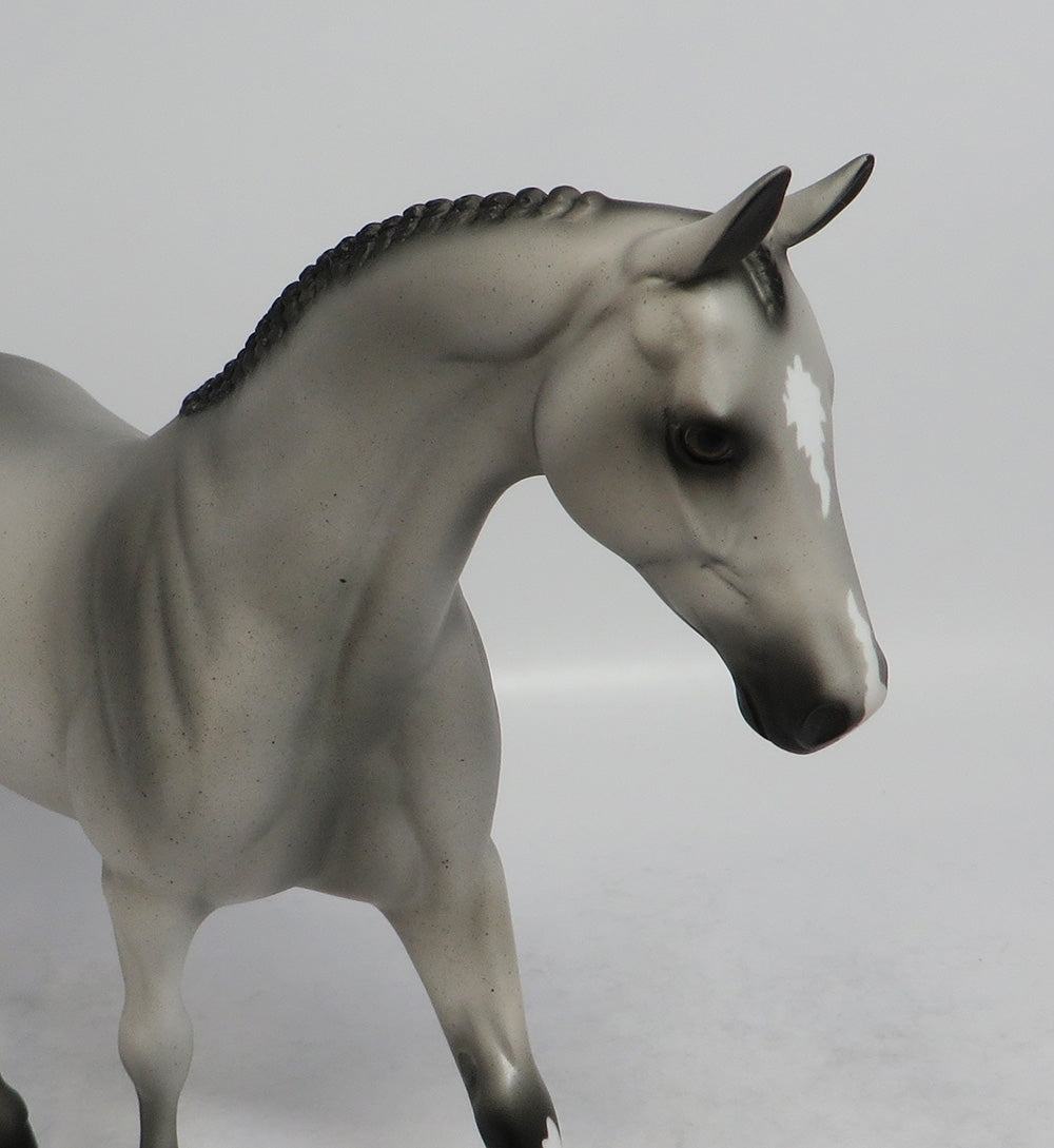 PELICAN - OOAK BLUE ROAN PONY MODEL HORSE SHCF2018