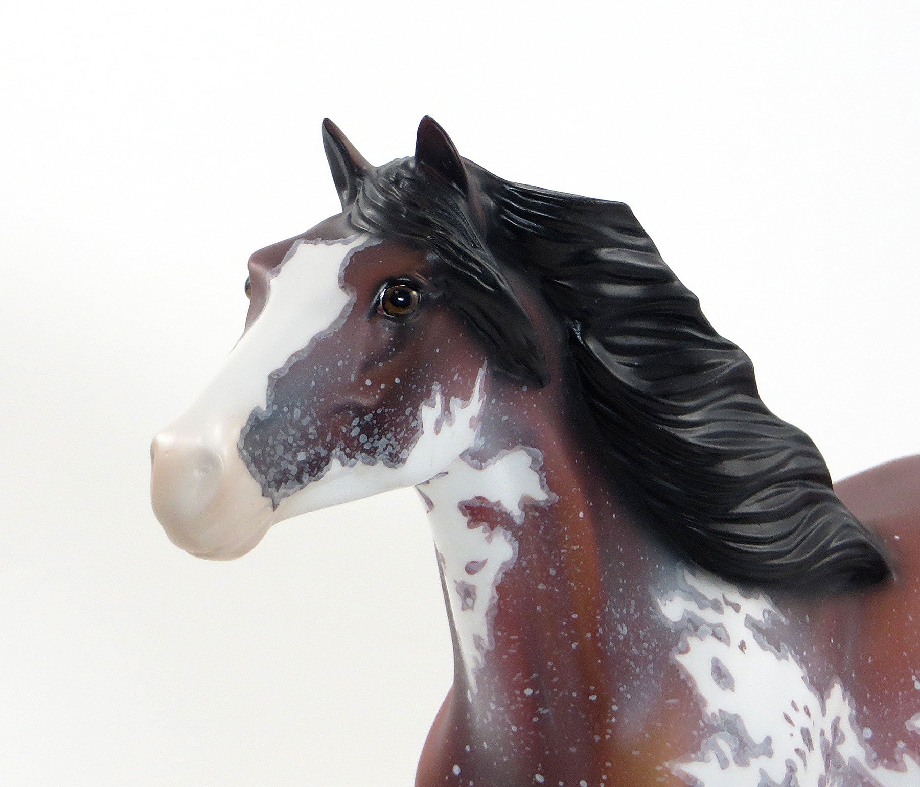 PAWS - OOAK Bay Sabino Mustang Charity Donation Edition by Dawn Quick