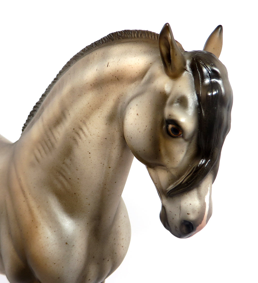 ANDREA~OOAK FLEABIT ROACHED MANE ANDALUSIAN BY JULIE KEIM 3/16