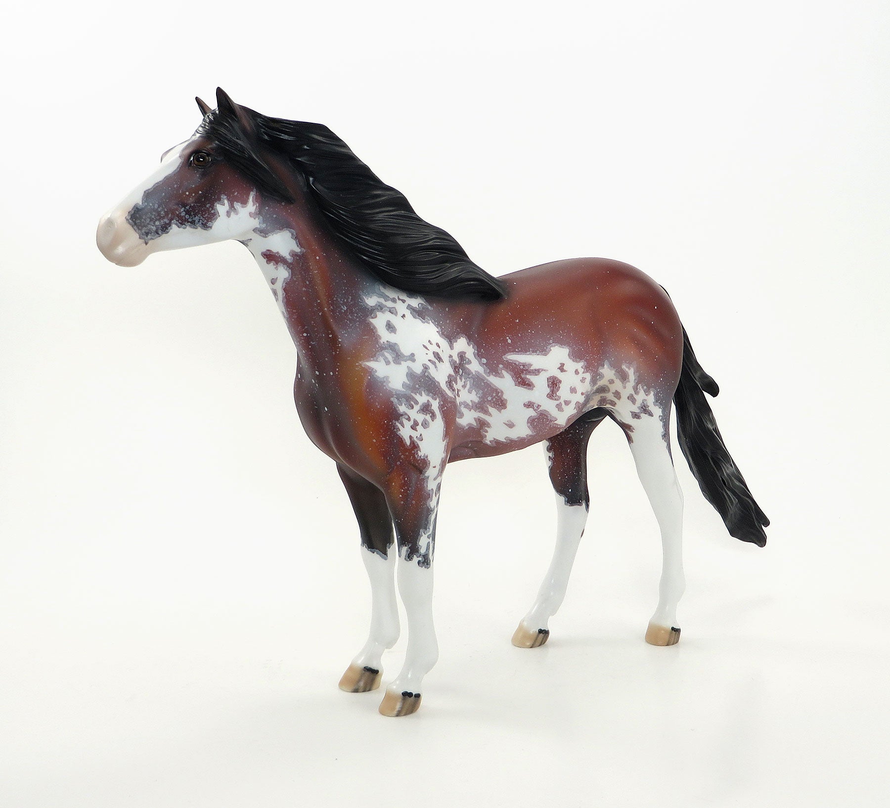 PAWS - OOAK Bay Sabino Mustang Charity Donation Edition by Dawn Quick