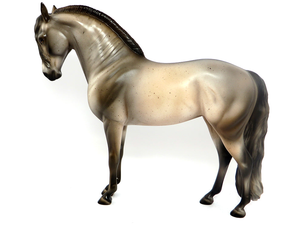 ANDREA~OOAK FLEABIT ROACHED MANE ANDALUSIAN BY JULIE KEIM 3/16