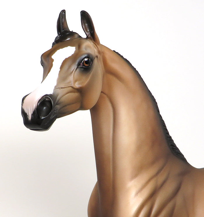 one of a kind arabain buckskin