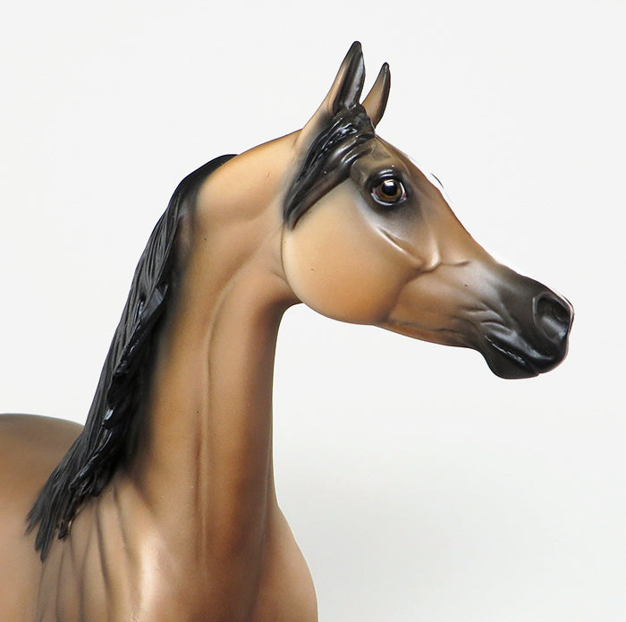 arabian model horse 