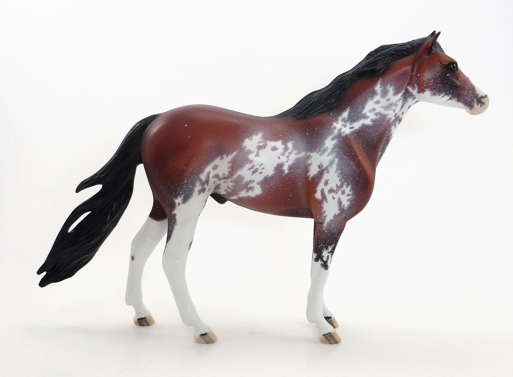 PAWS - OOAK Bay Sabino Mustang Charity Donation Edition by Dawn Quick
