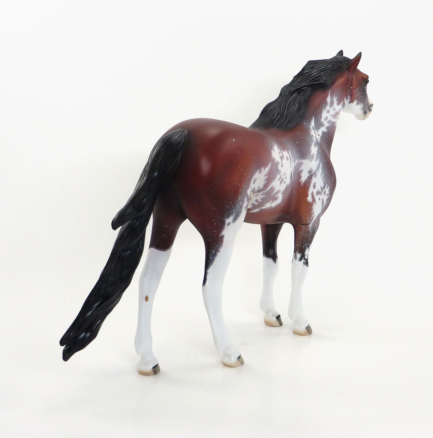 PAWS - OOAK Bay Sabino Mustang Charity Donation Edition by Dawn Quick