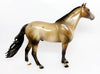 Spanish Mustang