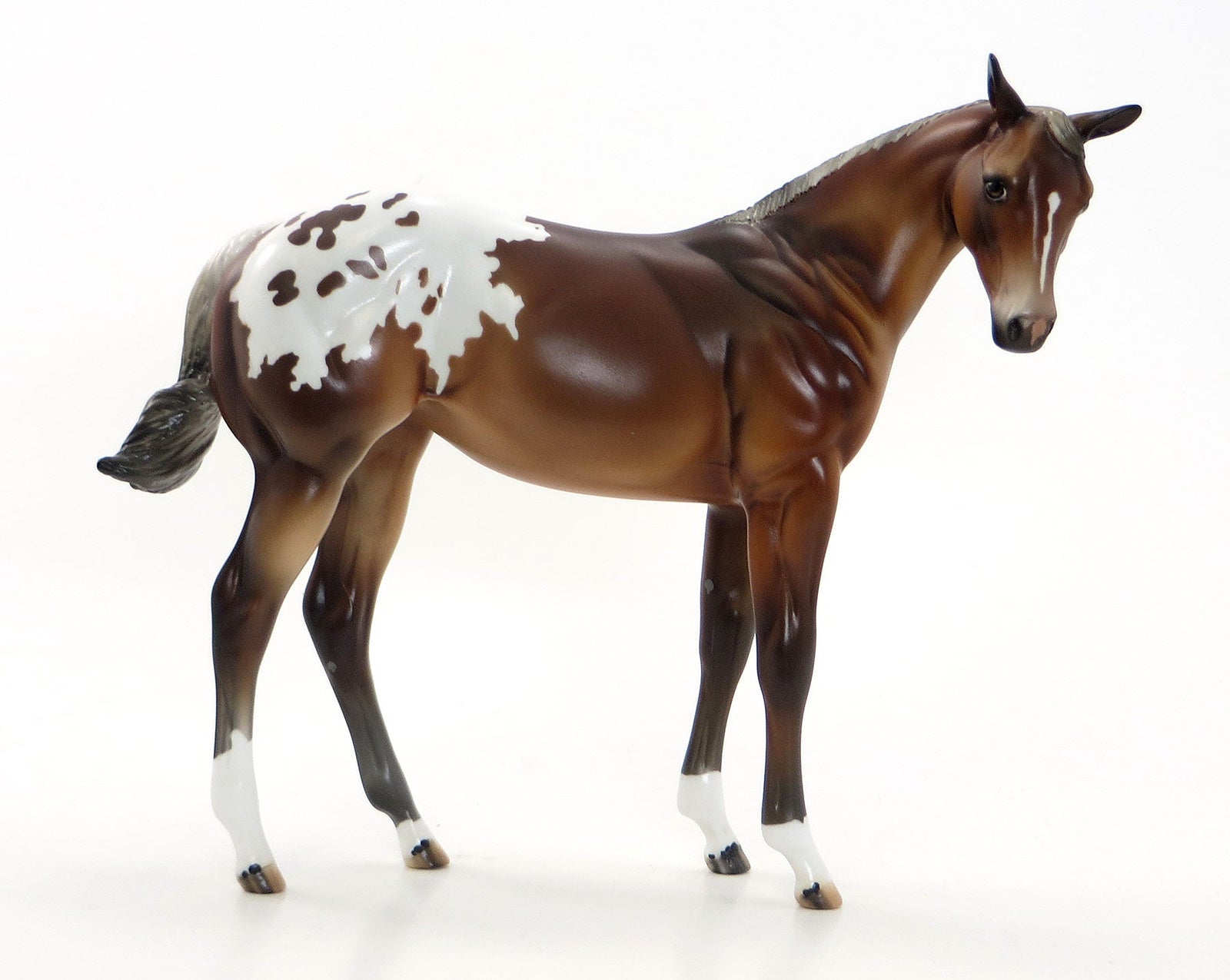 MISS TIGER TINK AKA TINKY - Chestnut Appaloosa Weanling Model Horse - EQ 2015 - LE 12 - 7/23
