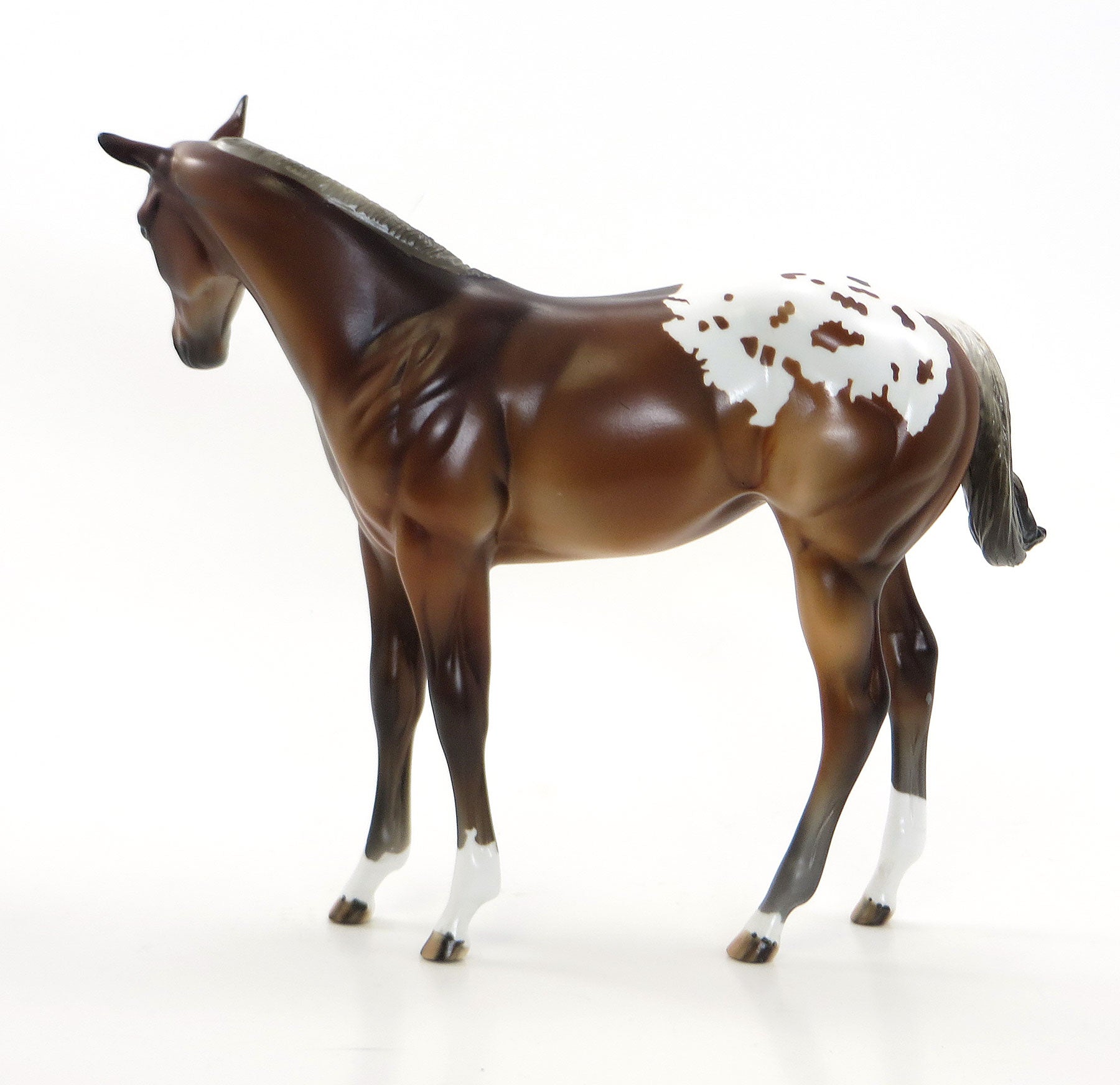 MISS TIGER TINK AKA TINKY - Chestnut Appaloosa Weanling Model Horse - EQ 2015 - LE 12 - 7/23