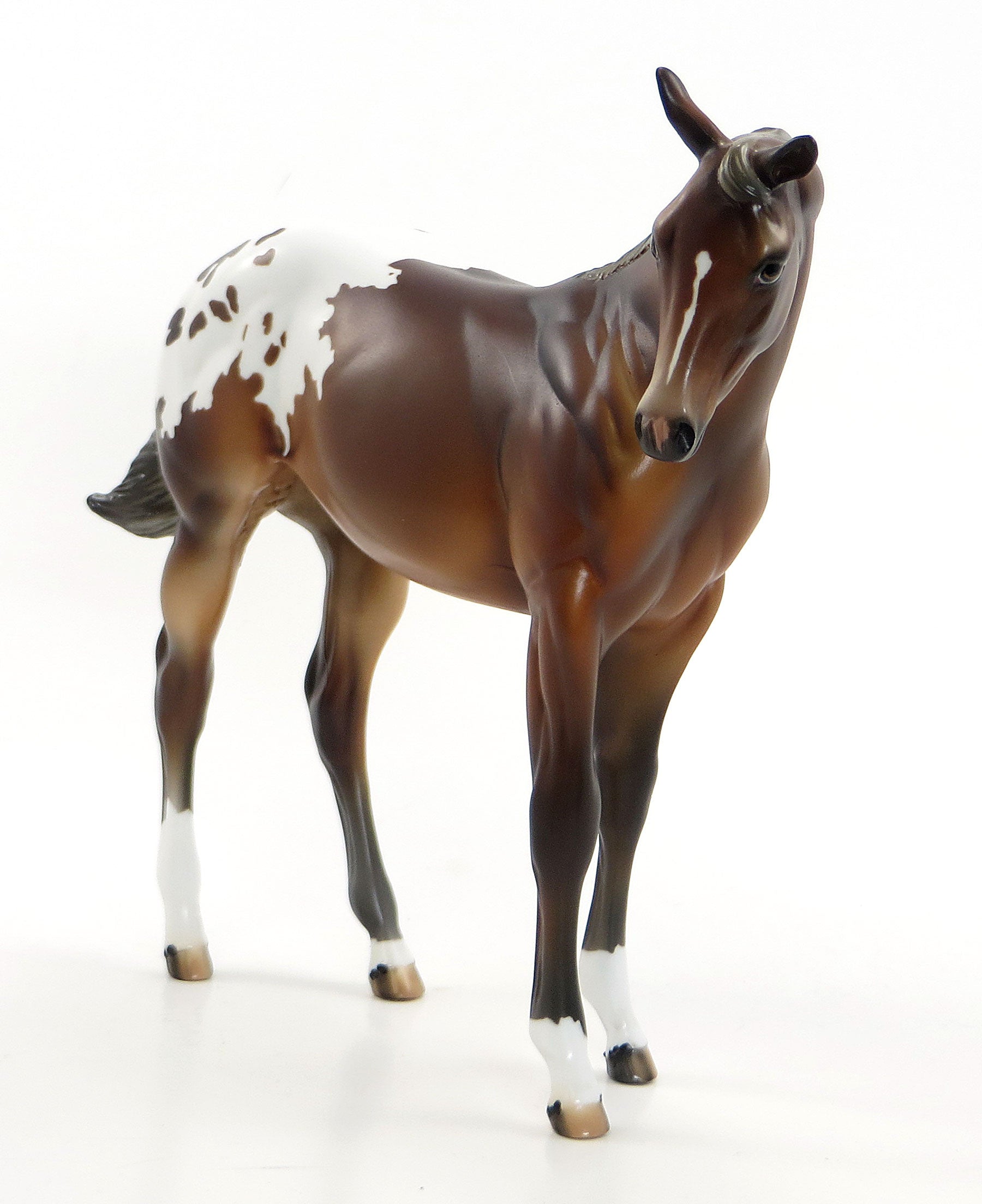 MISS TIGER TINK AKA TINKY - Chestnut Appaloosa Weanling Model Horse - EQ 2015 - LE 12 - 7/23