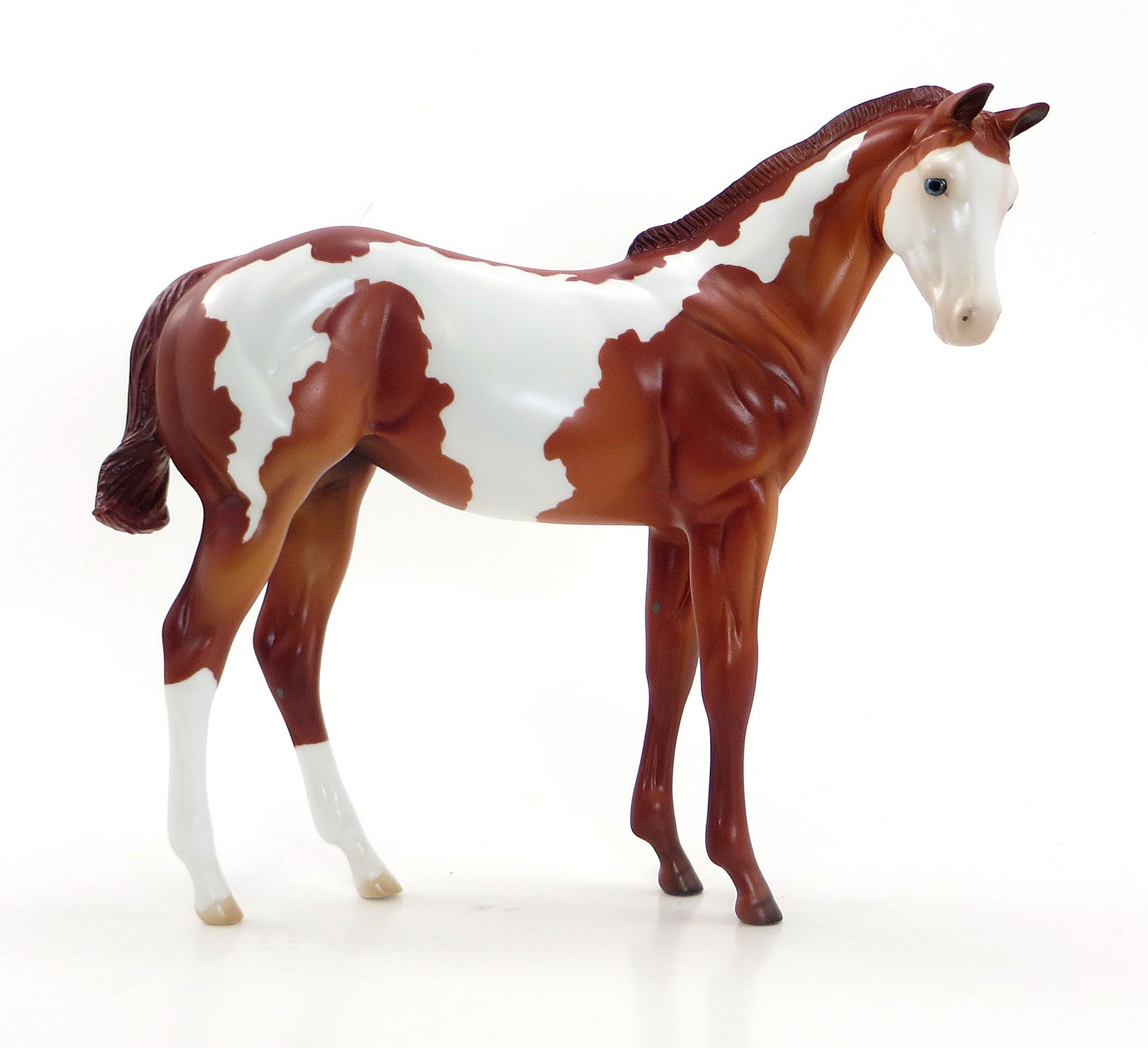 ANGELS BREATH - LE 10 EQ 2015 Chestnut Weanling Paint 7/23