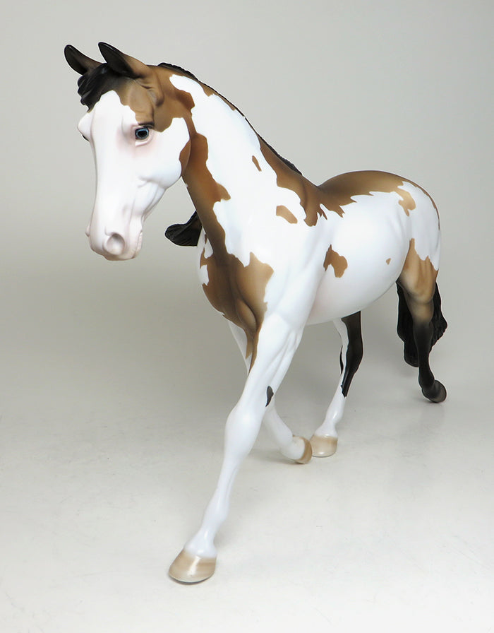 buckskin paint palouse