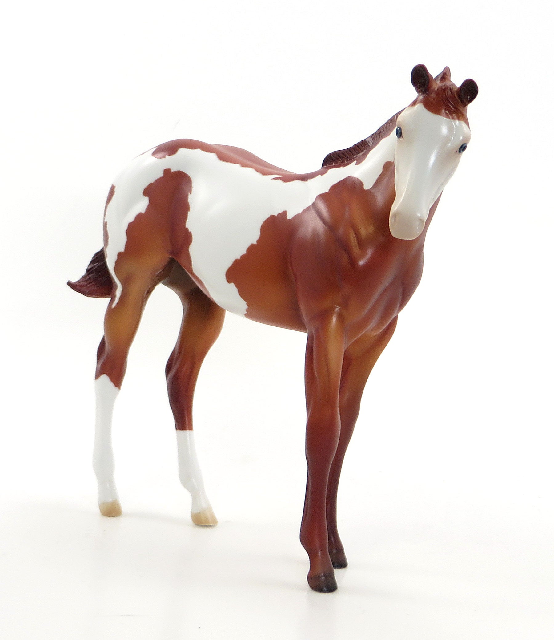 ANGELS BREATH - LE 10 EQ 2015 Chestnut Weanling Paint 7/23