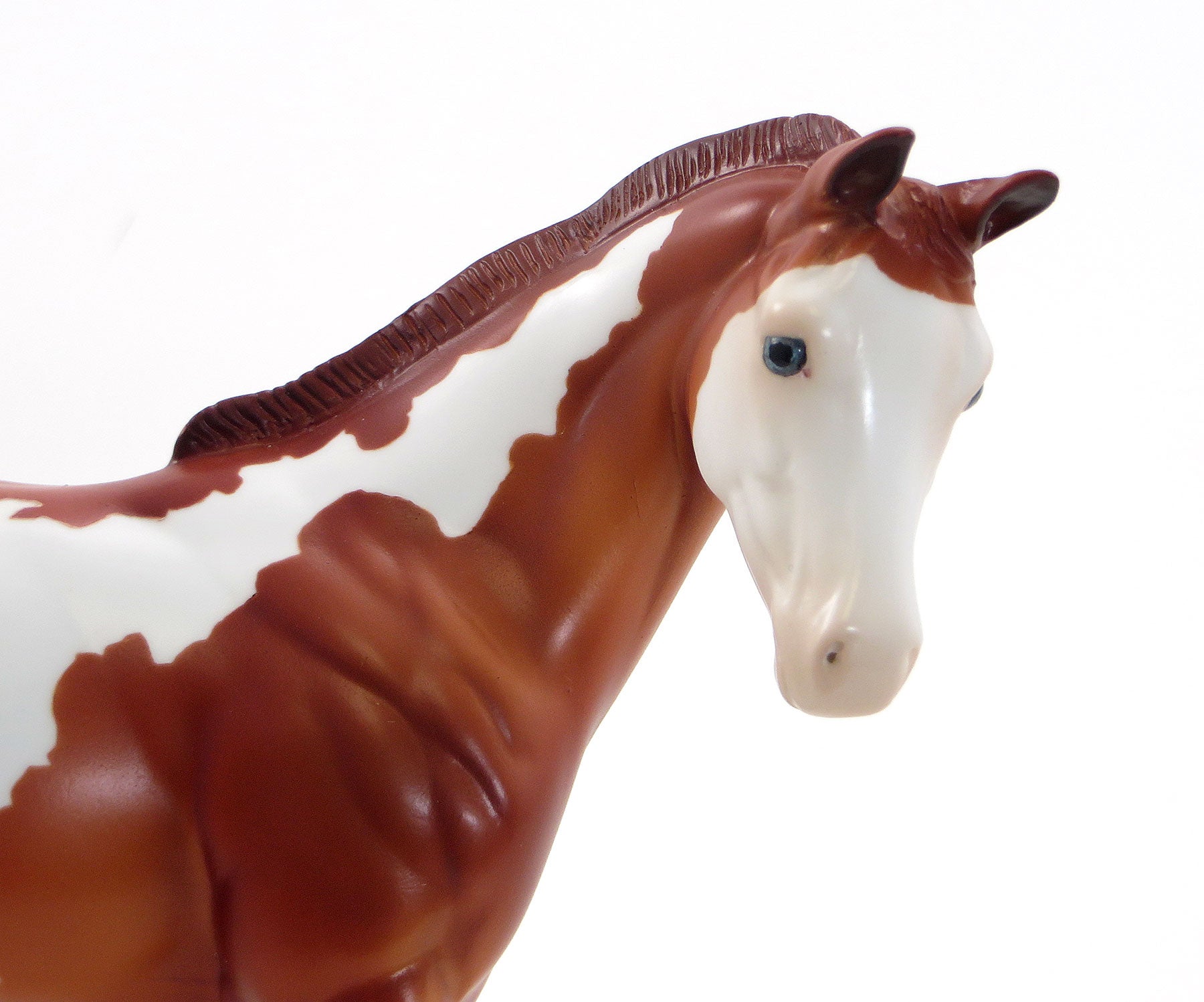 ANGELS BREATH - LE 10 EQ 2015 Chestnut Weanling Paint 7/23