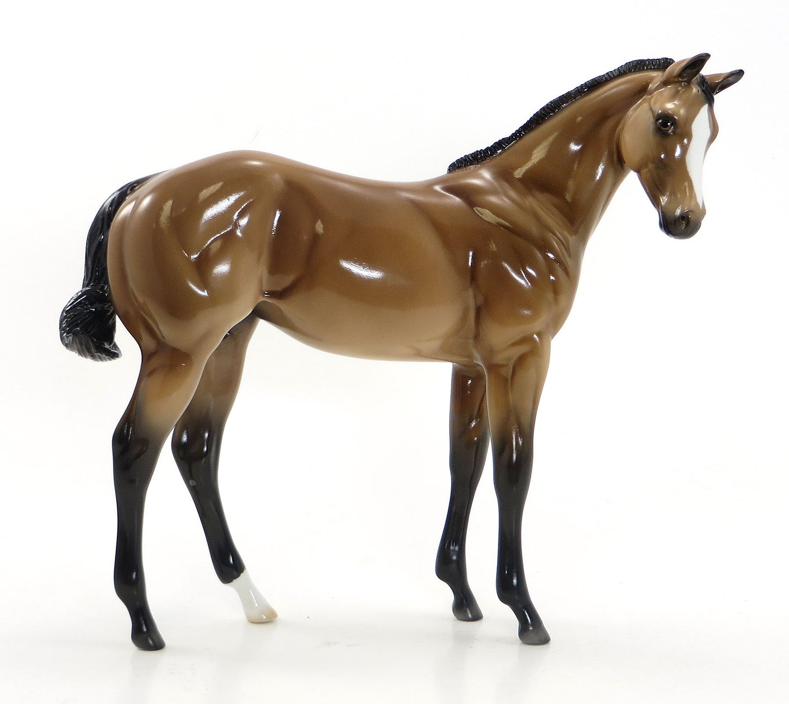 PALM SPRINGS SUNSHINE- LE 6 Buckskin Pinto Weanling 7/24