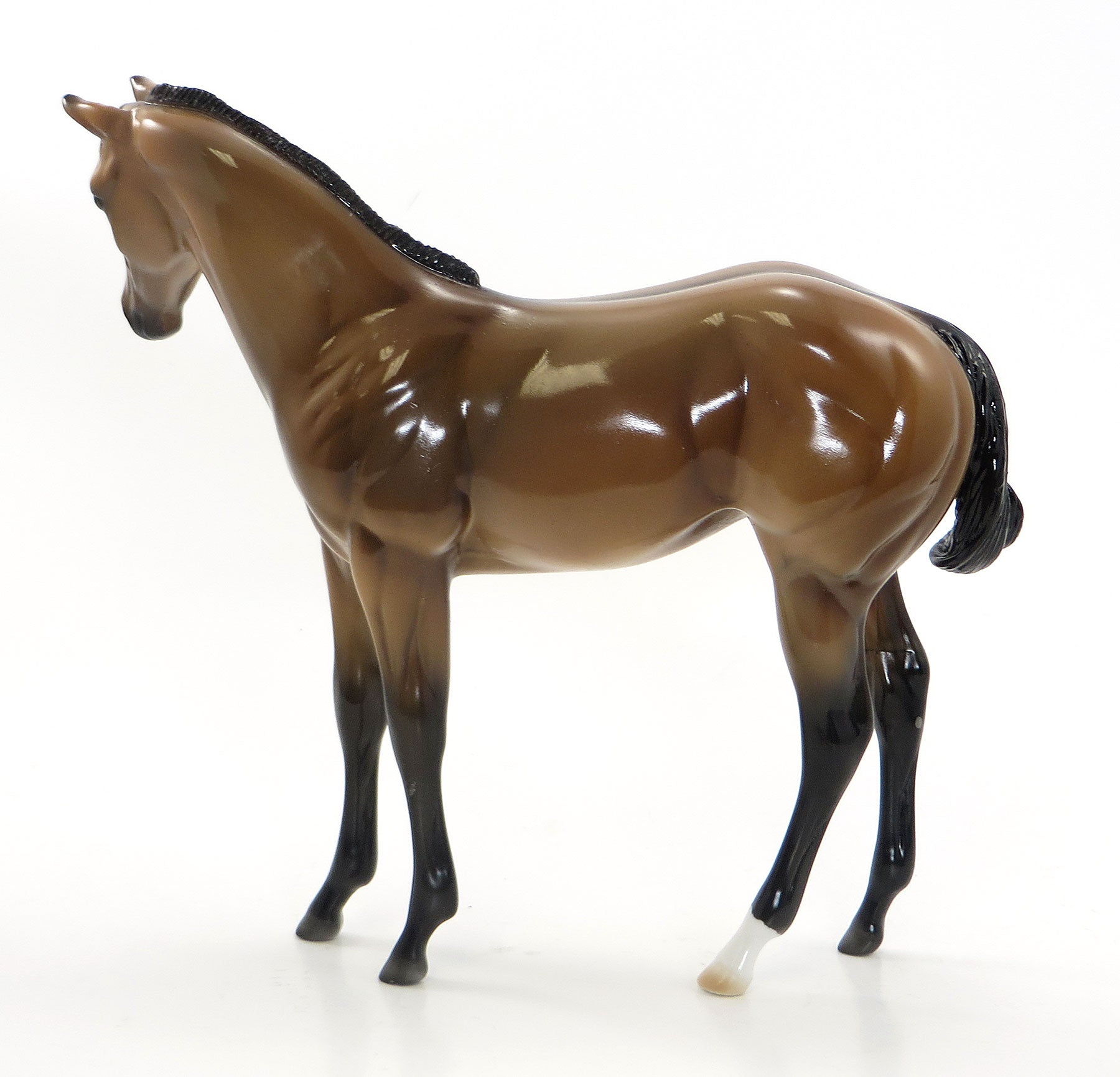 PALM SPRINGS SUNSHINE- LE 6 Buckskin Pinto Weanling 7/24