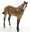 PALM SPRINGS SUNSHINE- LE 6 Buckskin Pinto Weanling 7/24