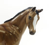 PALM SPRINGS SUNSHINE- LE 6 Buckskin Pinto Weanling 7/24