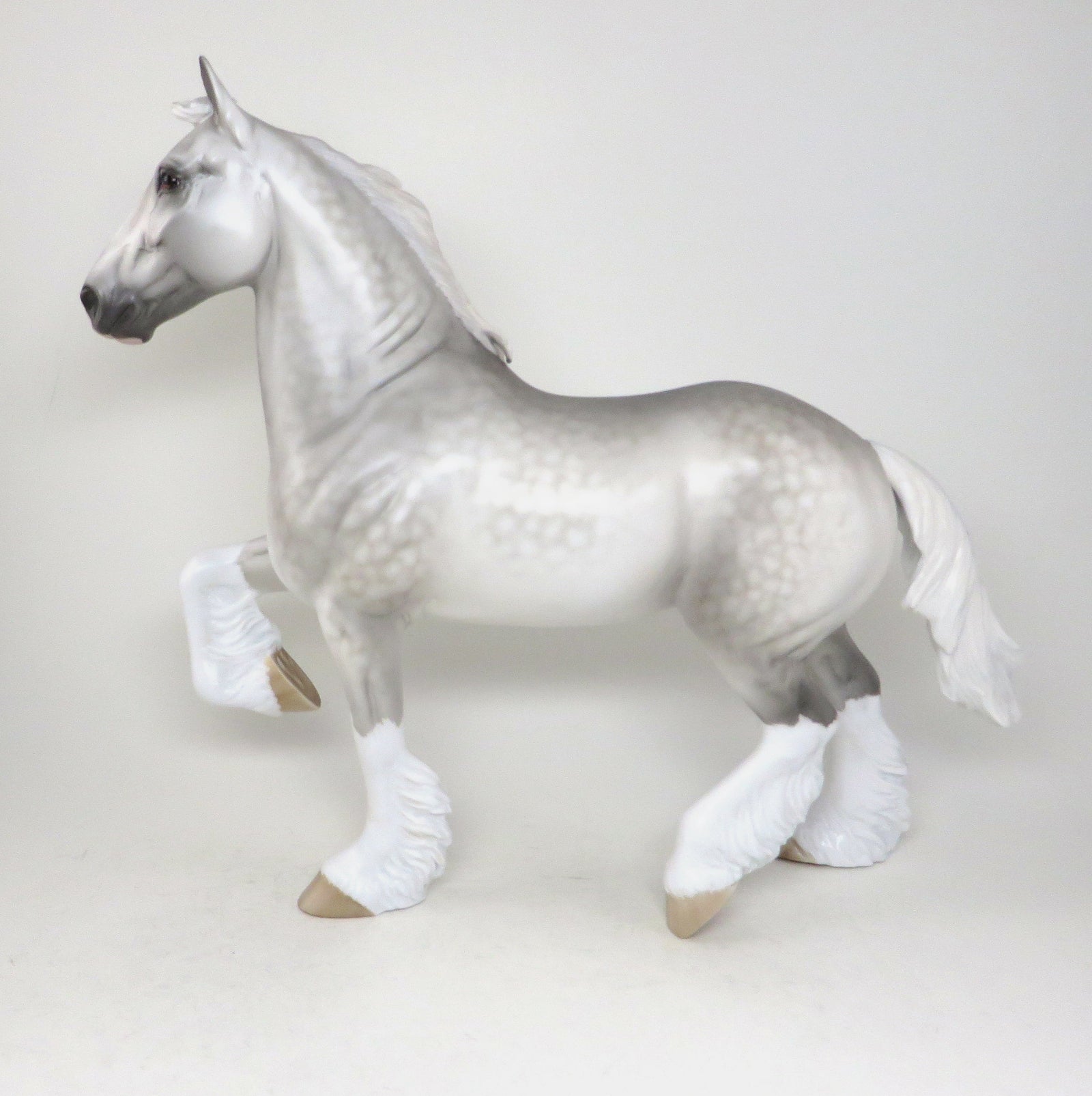 dapple grey trotting drafter 