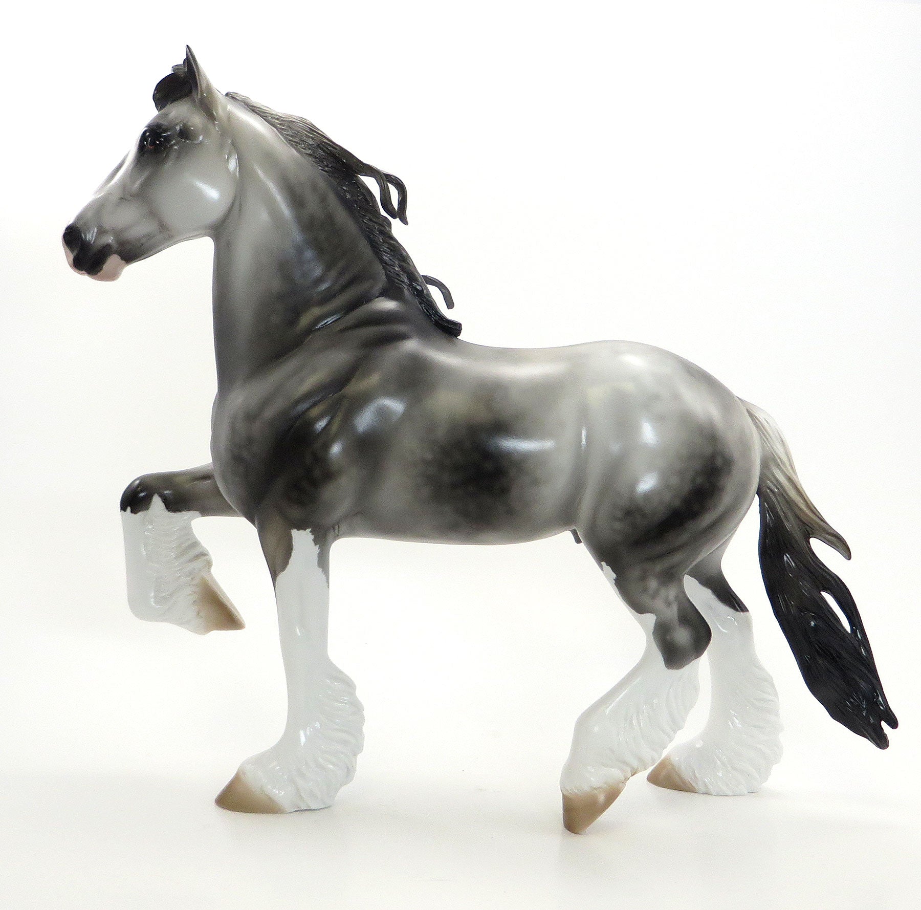 MR. BIG COUNTRY - LE 15 EQ 2015 Dapple Grey Trotting Drafter