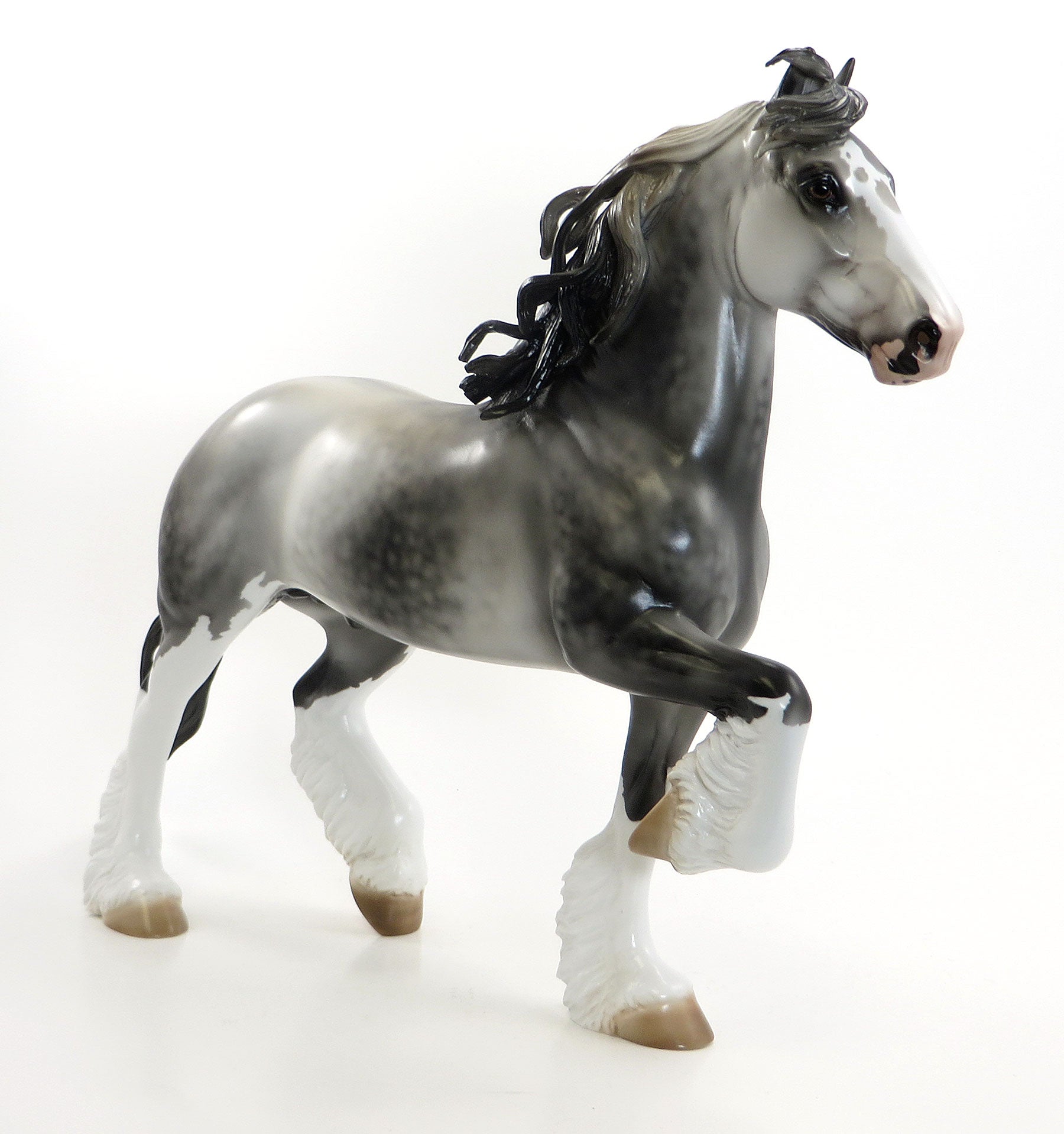 MR. BIG COUNTRY - LE 15 EQ 2015 Dapple Grey Trotting Drafter