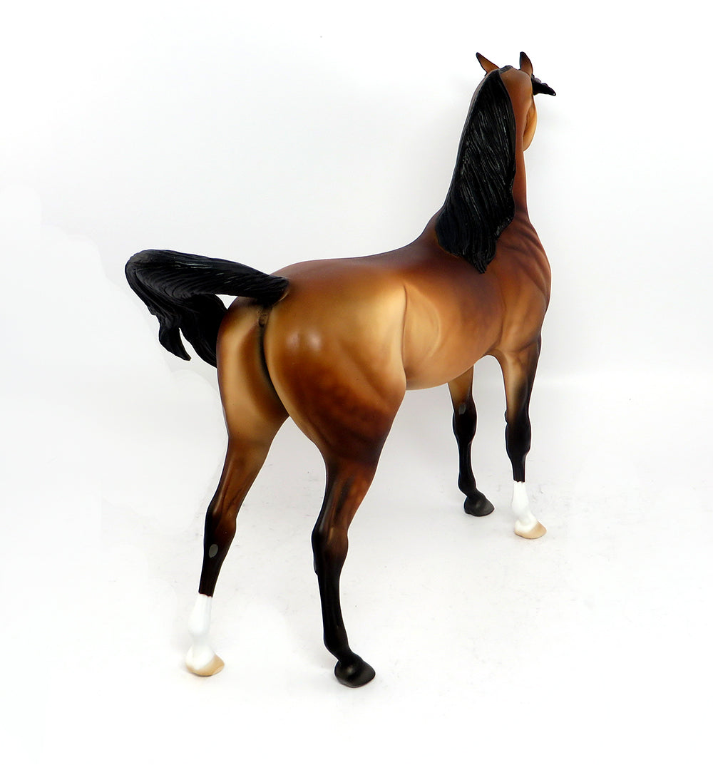SILAS~OOAK GOLDEN DAPPLE BAY ARABIAN MODEL HORSE 3/22