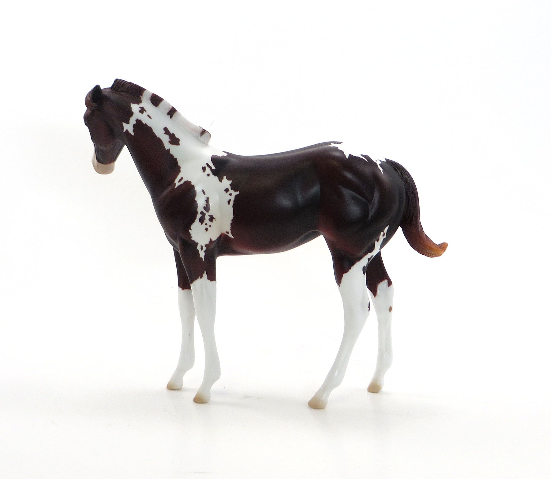 MISS DEE LIGHTFUL - Dark Red Chestnut Weanling Paint Model Horse - LE6 - EQ 2015 - 7/23