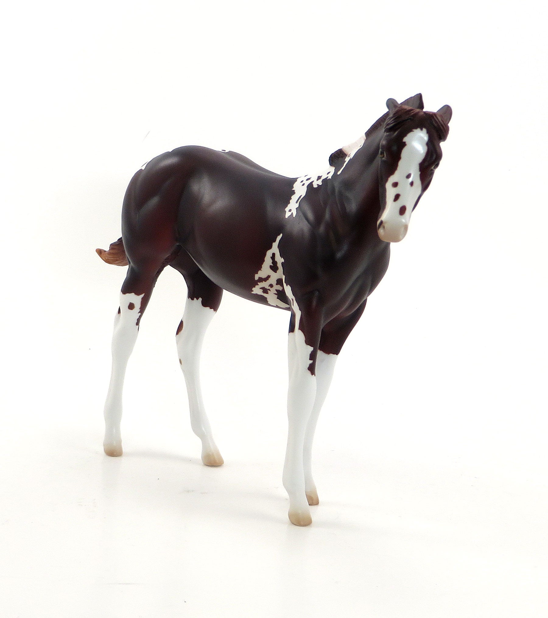 MISS DEE LIGHTFUL - Dark Red Chestnut Weanling Paint Model Horse - LE6 - EQ 2015 - 7/23