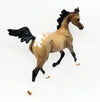 Appaloosa