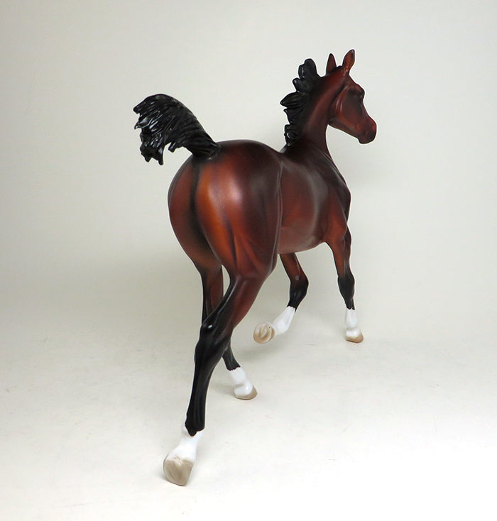bay yearling 