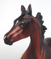 arabian yearling 